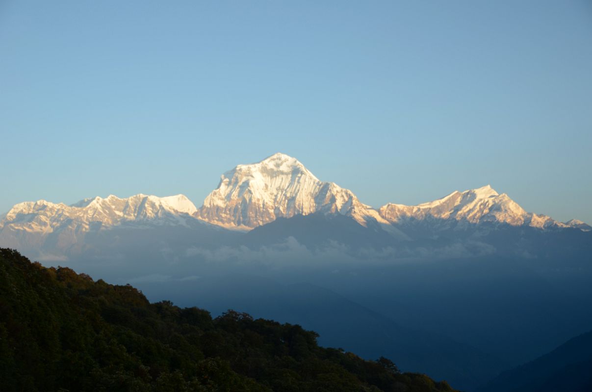 Poon Hill 22 Dhaulagiri VI, IV, V, III and II, Dhaulagiri and Tukuche Peak Just After Sunrise 